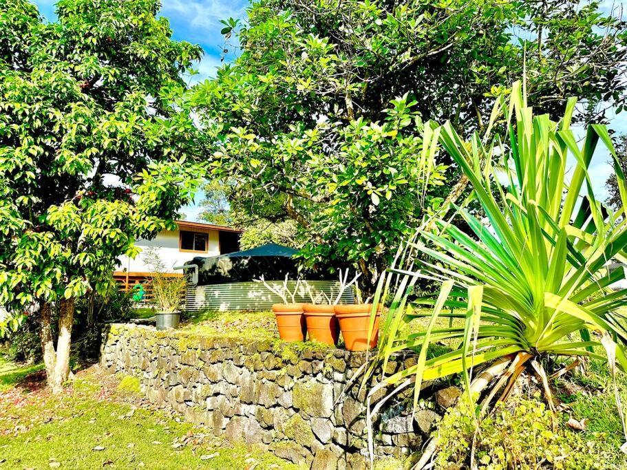 Home Near Volcano National Park, Hilo, Kehena Кио Экстерьер фото