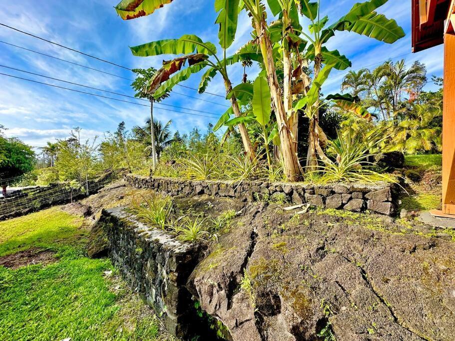 Puna Zen Botanical Garden Retreat Кио Экстерьер фото
