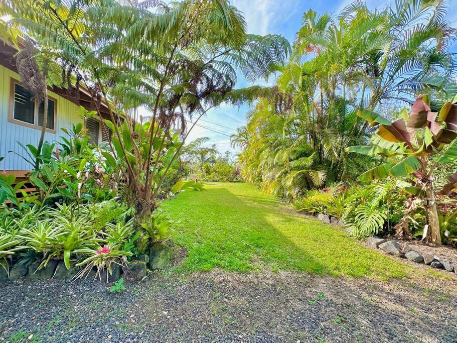 Home Near Volcano National Park, Hilo, Kehena Кио Экстерьер фото